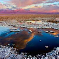 Chile enfrentará arbitraje con SQM ante la imposibilidad de acuerdo