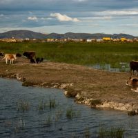Operadora Ecológica del Titicaca presenta arbitraje de inversión contra Perú