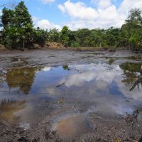 Caso Chevron: Ecuador debe pagar 96$ mill. tras ratificación del arbitraje