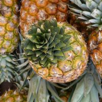 Arbitraje de la piña: según Inprotsa el laudo a favor de Del Monte no debe superar 2,82M$