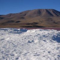 Bolivia defiende su estrategia de acuerdos en tres arbitrajes CIADI