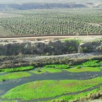 Comunidad del río Huasco dice no a acuerdo de arbitraje con minera Barrick