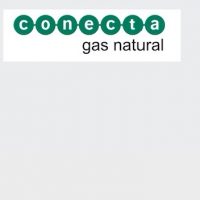 Conecta: Uruguay debe recomponer equilibrio económico-financiero de distribución de gas