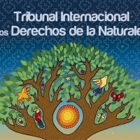 Bolivia infringe los Derechos de la Naturaleza y de pueblos indígenas en el caso TIPNIS