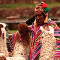 Cambios en tribunal del arbitraje de inversión de la minera Lupaka v. Perú
