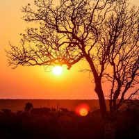 La UE negocia acuerdo comercial con cinco países africanos
