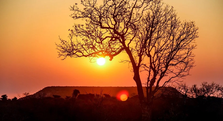 La UE negocia acuerdo comercial con cinco países africanos