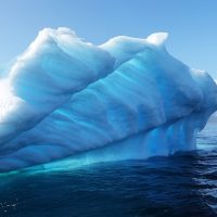 Se lanza campaña por arbitrajes más ecológicos: “Campaign for Greener Arbitrations”