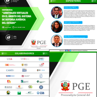 Arbitrajes virtuales en el ámbito del sistema de defensa jurídica del Estado