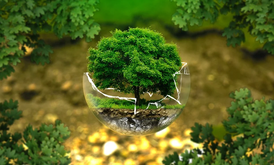 Consulta pública sobre “Protocolos Ecológicos” en arbitraje internacional