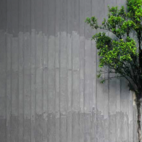 Arbitraje, preferido para resolver conflictos internacionales en pandemia