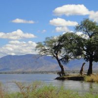 Conflicto sobre tarifa eléctrica en Zambia se resuelve a favor de canadiense First Quantum