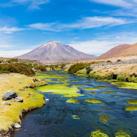 Prevalece la petición de Chile en disputa con Bolivia por Río Silala