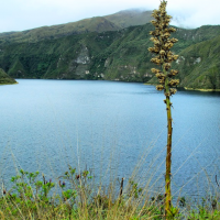 Arbitraje entre Codelco y Ecuador continúa con la formación del tribunal