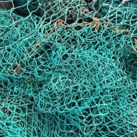 Segunda notificación de arbitraje a España por pesca de cangrejo de las nieves