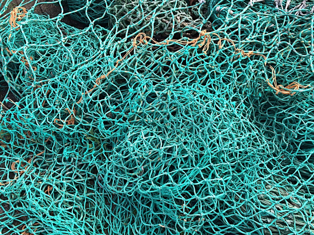 Segunda notificación de arbitraje a España por pesca de cangrejo de las nieves
