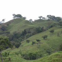 El tribunal del arbitraje entre la canadiense Orla Mining y Panamá