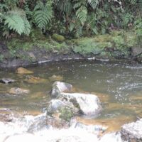 Compañía constructora busca ejecutar laudo de más de 300 M$ contra Colombia