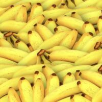 Proveedor ecuatoriano de plátanos gana arbitraje en Rusia